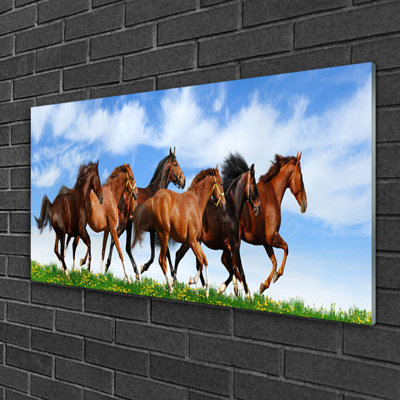 Animals Horses 1 Piece Wall Art on Glass