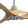 Karly 60" Ceiling Fan with LED Lights