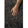 Bardhi Indoor Rug