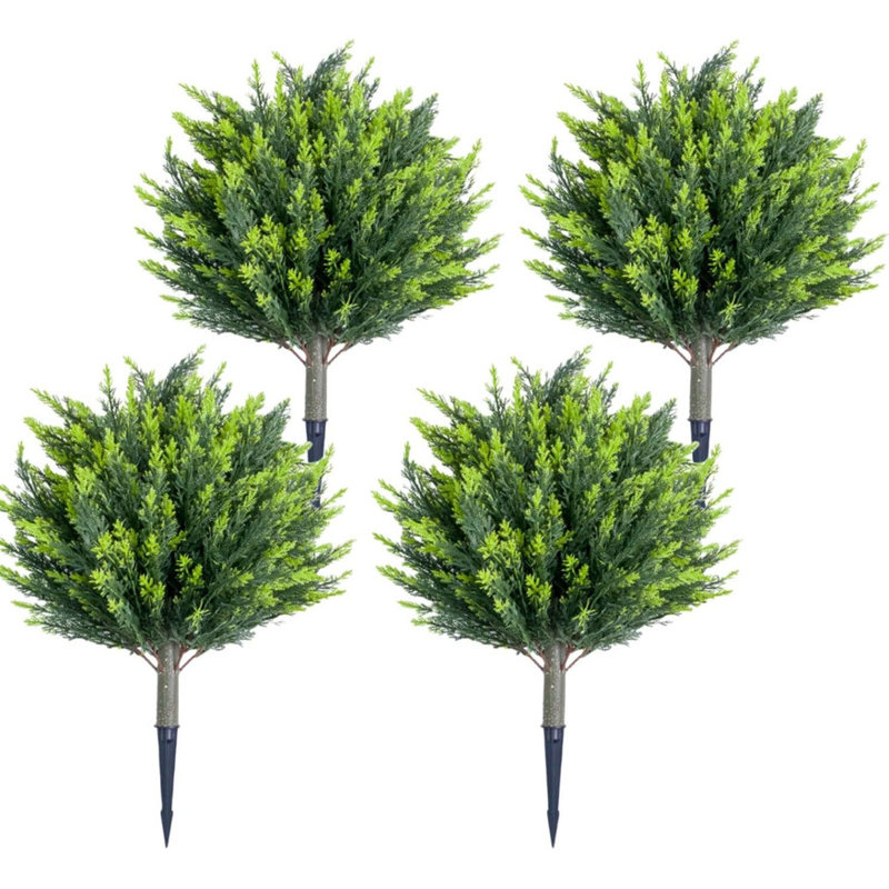 64.8cm Plant