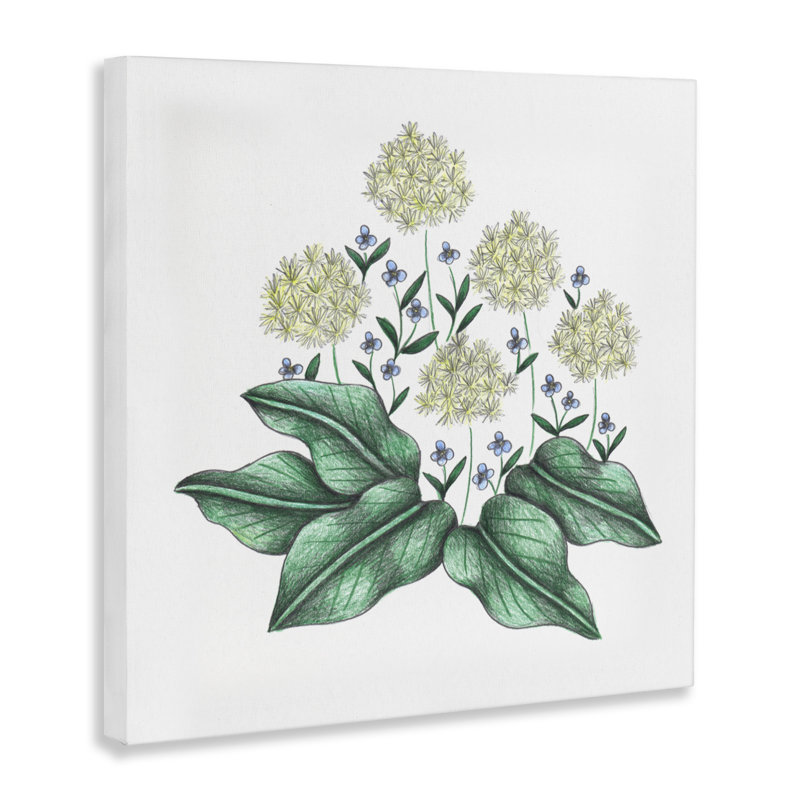 Hello Wildflower Vintage, croquis sur toile, conception par Cecilia Battaini, H 24 po x l 24 po