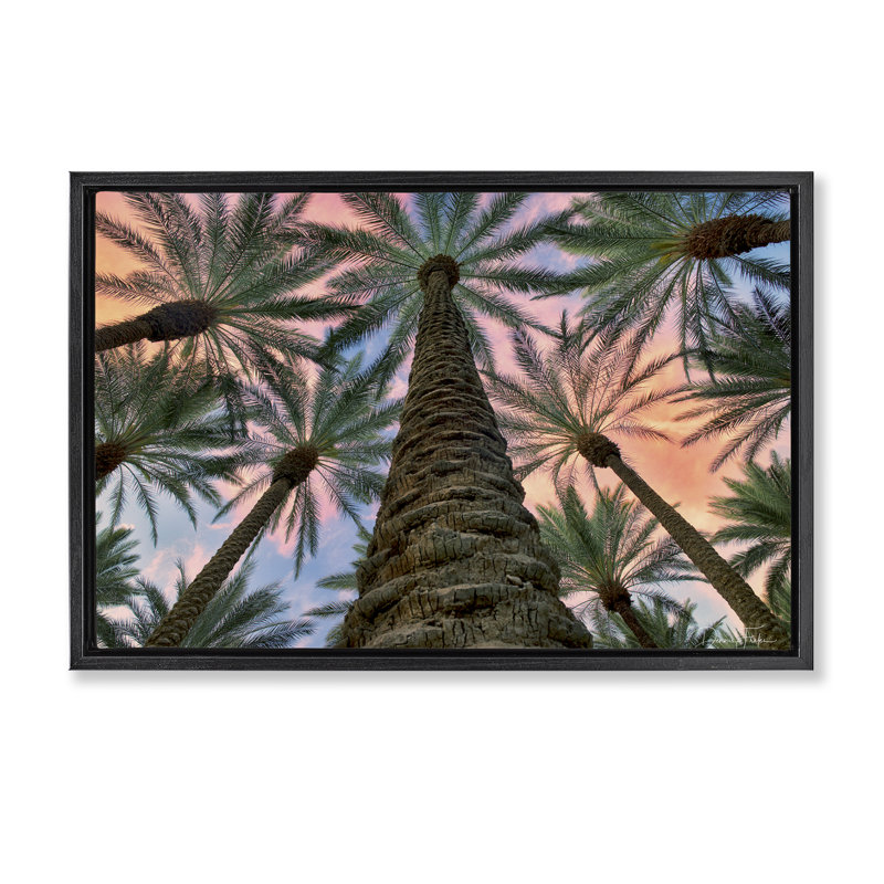 «Tall Overhead Palms», toile flottante encadrée par Dennis Frates, Cadre flottant noir de jais, H 17 po x l 25 po