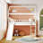 Twin Loft Bed With Slide, House Bed With Slide-792084057