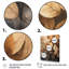 «Brown Beige Leafs Harmony V», reproduction sur toile-2069701093-2069701094
