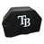 LMB Rays de Tampa Bay