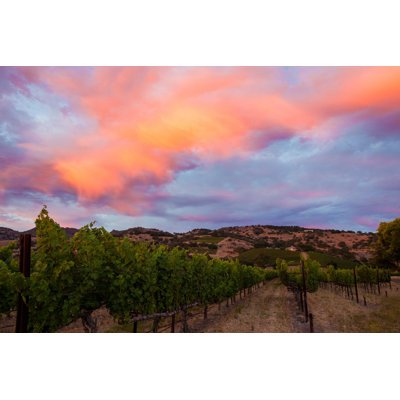 " California Vineyard "