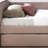 Daybed With A Trundle-613013347