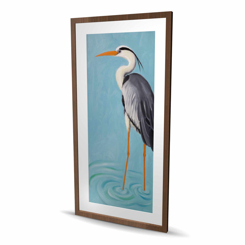 Héron gris, reproduction encadrée avec passe-partout - animaux gris