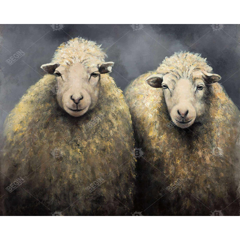 " Wool Sheeps "
