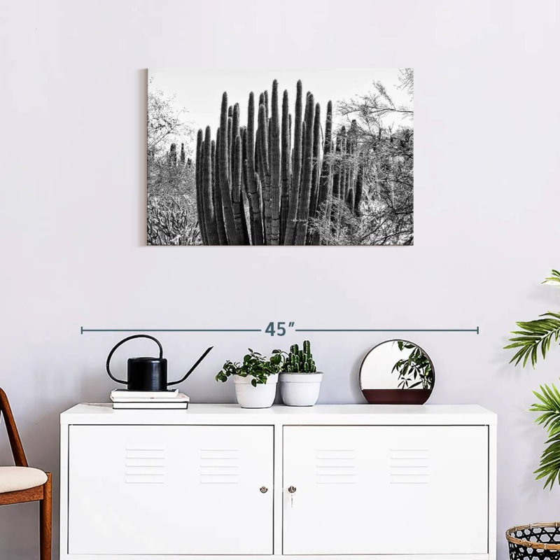 Harnek - Arizona noir - gros cactus, H 20 po x l 30 po