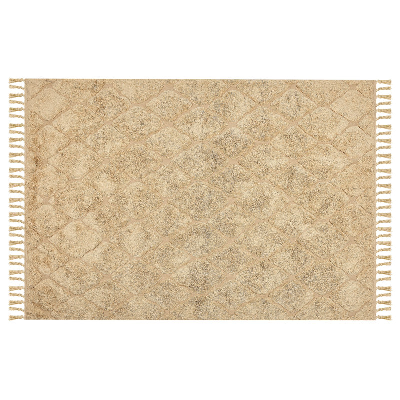 Rourke Geometric Cotton Hand Woven Area Rug, Rectangle 140 x 200cm