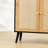 Aamaya 39.4'' Rattan Cabinet with Drawer & Adjustable Shelf-1792635210