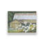 «Spring at the Old Barn» par Pam Britton, reproduction d'art-261824648-261824649-261824643