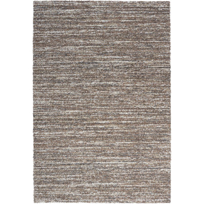 Amellie Berber Area Rug