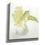 Epic Graffiti «Plant Big Leaf I» par Chris Paschke, impression sur toile, 12 po x 12 po