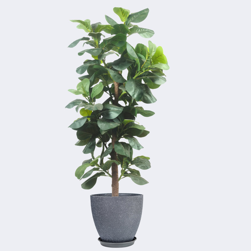 Pots à fleurs artificiels en figuier et résine, Gris foncé, H 19,69 po x l 70,87 po x P 19,69 po
