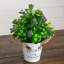 8 po Ensemble de 3 plantes à fleurs artificielles en fleurs rustiques et jardin-77551828