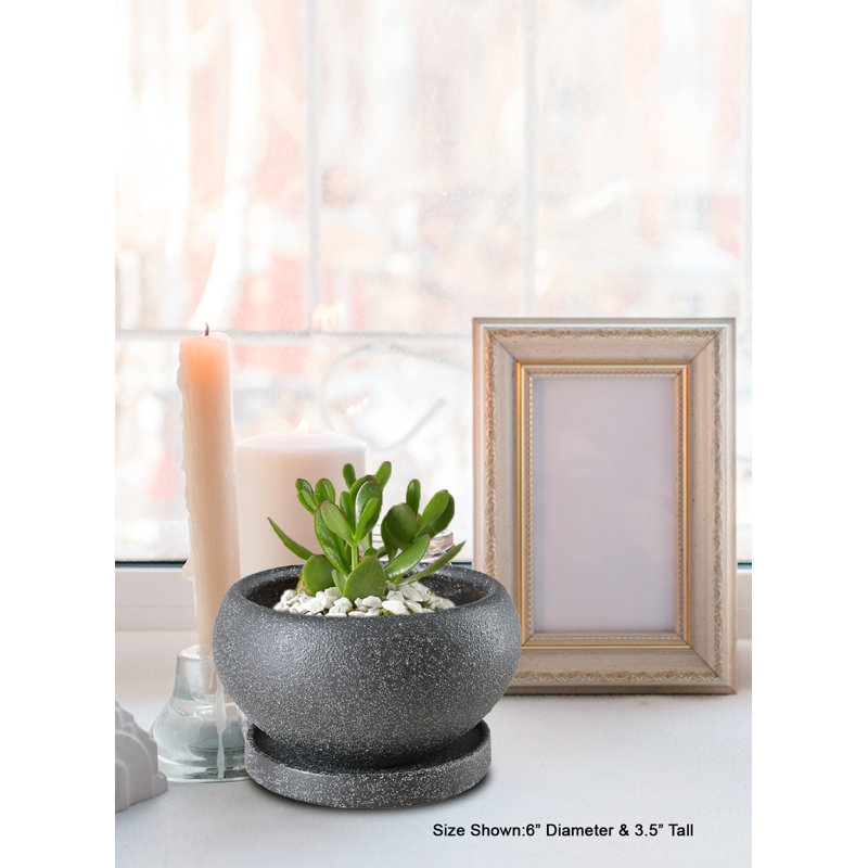  Mini pot à fleurs en granit en céramique, pots ronds noirs texturés avec soucoupes attachées, pots à fleurs d'intérieur modernes pour plantes grasses, cactus et décor de table, 6 po de diamètre et 3,5 po de hauteur, paquet de 12
