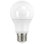 5 Watt LED Bulb