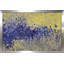 Psaumes 73:25 My Only Desire - Peinture-395886409-395886356