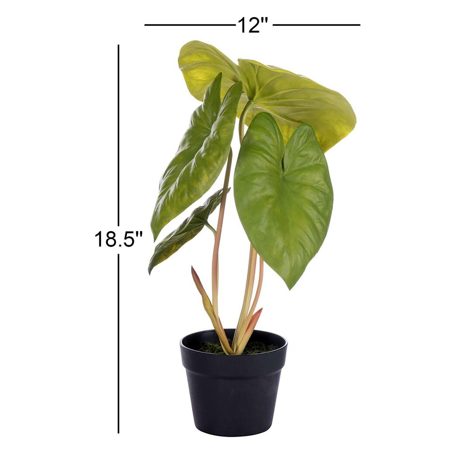 18.5'' Faux Alocasia Plant in Pot
