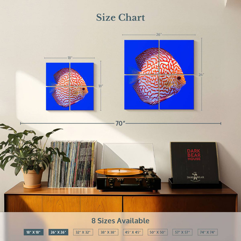 Brampt Exotic Discus Fish, 26" H x 26" W