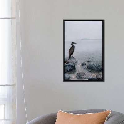 " The Shallows " by Maggie Vandewalle