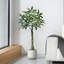 Adcock Artificial Ficus Tree with Round White Planter, Pre Potted Faux Money Tree for Home Decor-298643299
