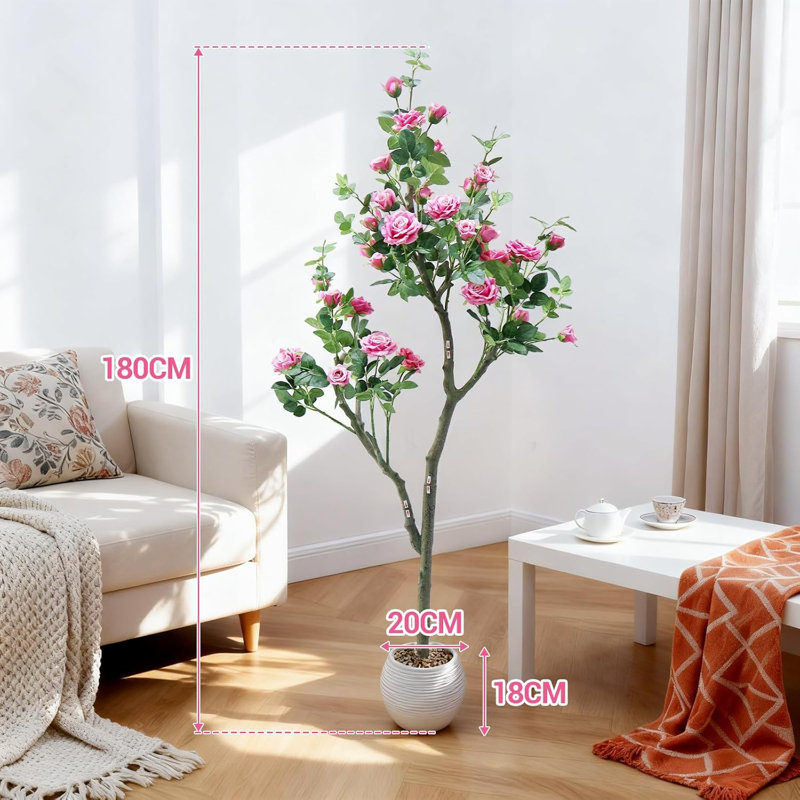 183cm Plant