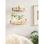 Haden Half Moon 2 Piece Floating Shelf Set-463170804