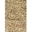 Sterling Hand Tufted Area Rug in Tan-719652098