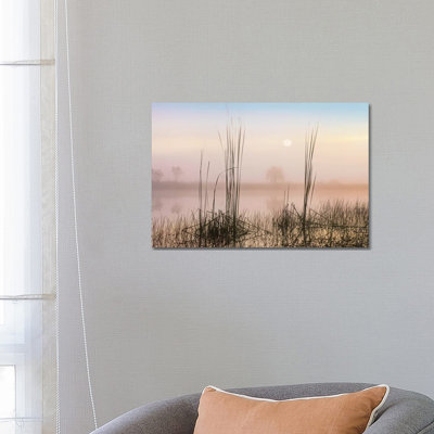 Reeds In Sweet Bay Pond, Everglades National Park, Florida by Tim Fitzharris - Wrapped Canvas Gallery-Wrapped Canvas Giclée