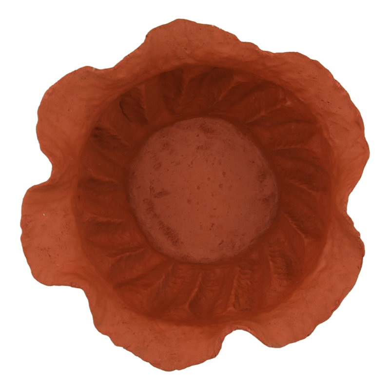 Terre cuite Ward Bowl