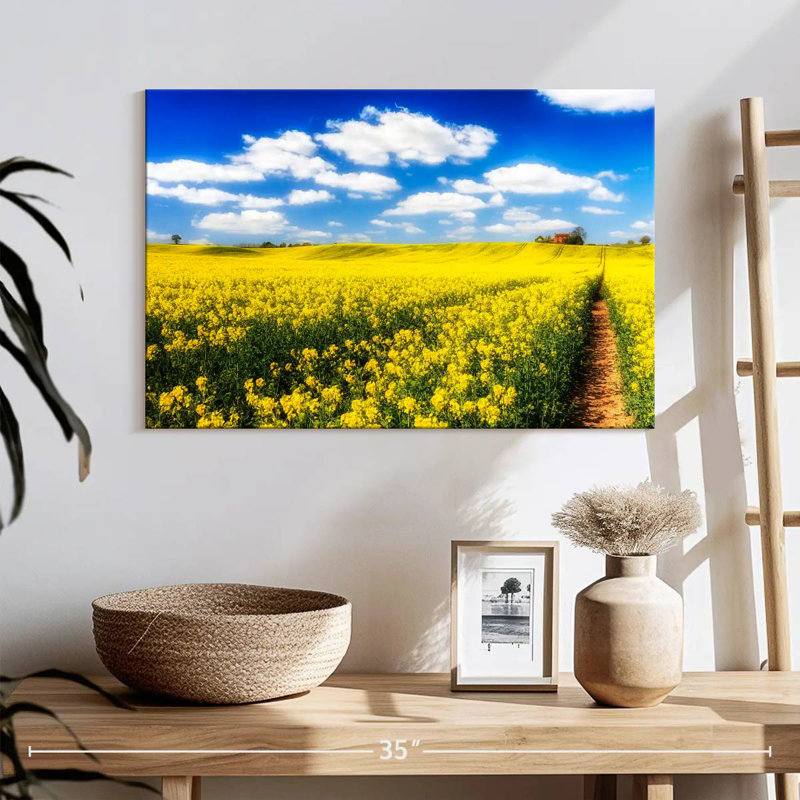 Champ de fleurs d'Alvord, H 16 po x l 24 po