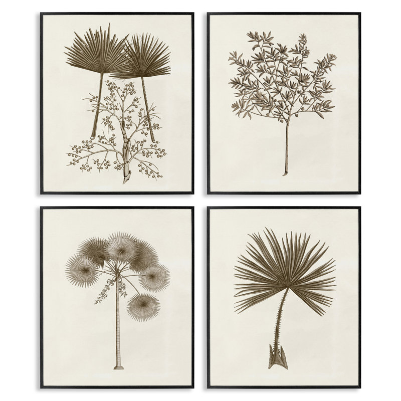Diverses feuilles de palmier rétro, ensemble de 4 giclées encadrées, design par Phillipa Katz, H 14 po x l 11 po