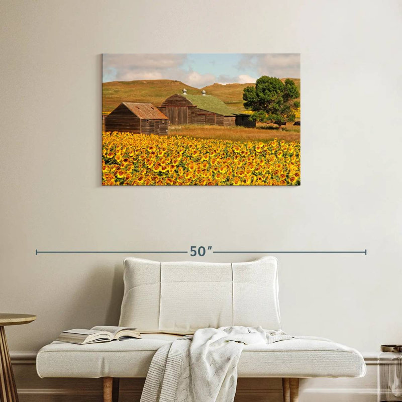 Champ de tournesols Alvord, H 24 po x l 36 po