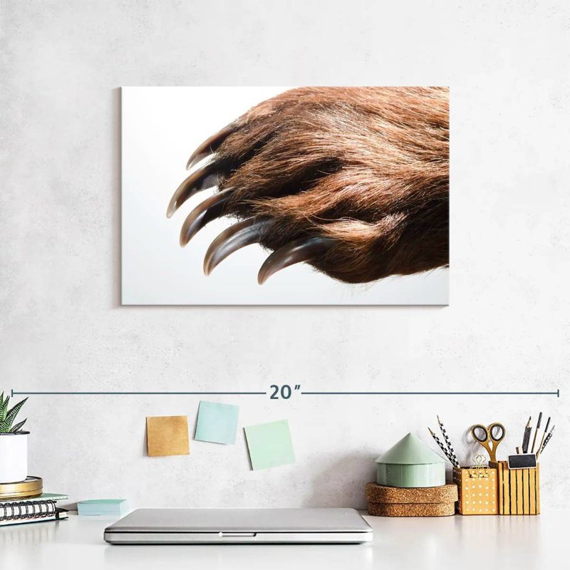 Brampt Brown Bear Claws, 8" H x 12" W