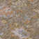 Machine Washable Indoor/Outdoor Xhevrie Brown Rug