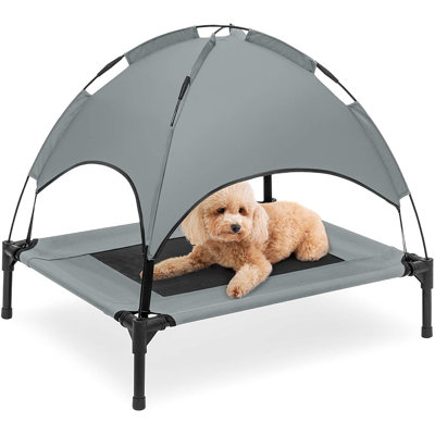 Dog House
