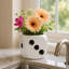 Pot à dés décoratif en céramique pour espaces intérieurs et extérieurs - Pots de fleurs créatifs pour patio, salon et décoration intérieure - 6 po, blanc et noir-1736527774