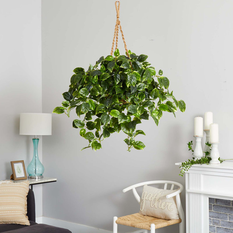 Panier suspendu Pothos résistant aux rayons UV (intérieur / extérieur)