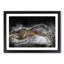 Alligator Watchful Eye in Abstract - Picture Frame Graphic Art Print-55682952-55682955