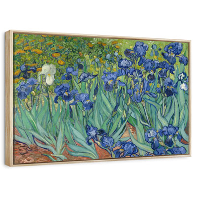 Irises 1889