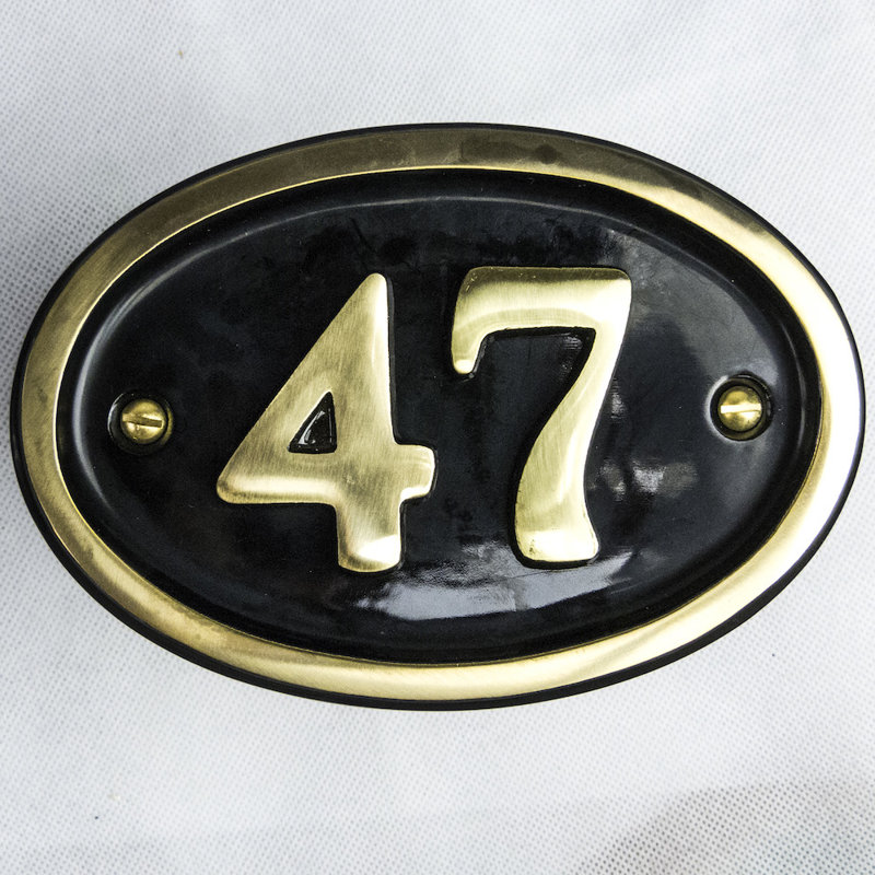 Tyrinia 10cm H Reflective Aluminum House Number, 47