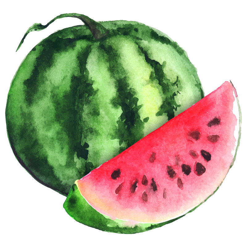 Watermelon - Wrapped Canvas Painting, 30cm H x 30cm W x 3.8cm D