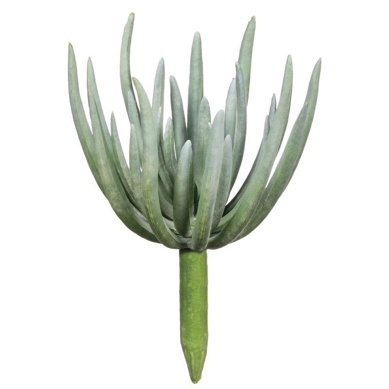 Arrangement