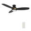 Ventilateur de plafond encastré intelligent avec lumière, télécommande, moteur à courant continu-93934863-70836687