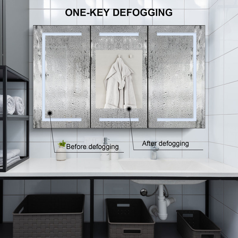 Camrynn 48 in. Mirrored Medicine Cabinet with LED Lights
