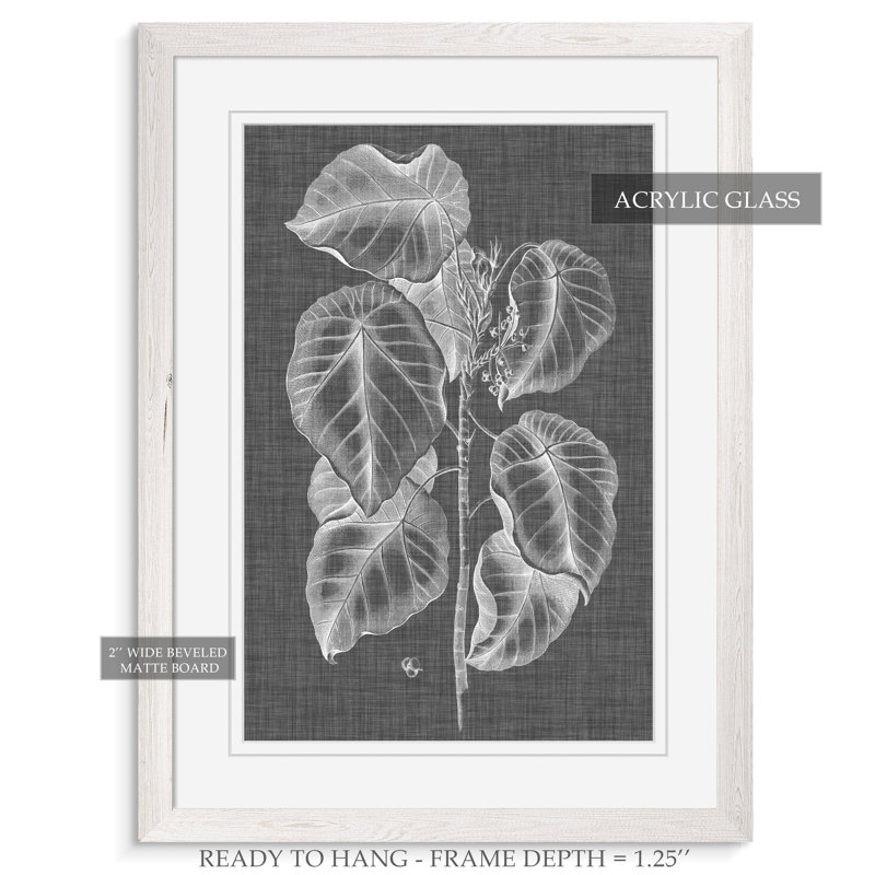 « graphique feuillage iv » par paul cezanne-impression sur cadre photo, H 30 po x l 22 po x P 1,25 po