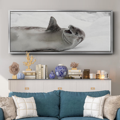 Laughing Seal- Framed Canvas